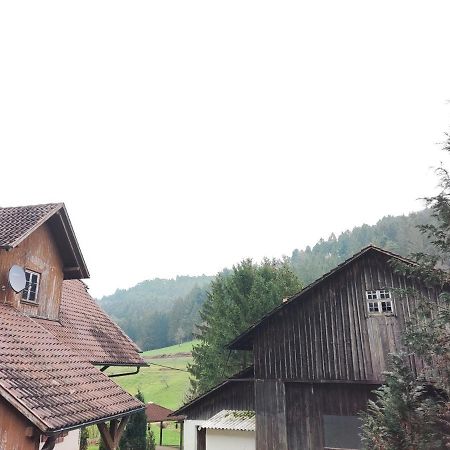 Geraeumige Wohnung Im Schwarzwald ซีลบาค ภายนอก รูปภาพ
