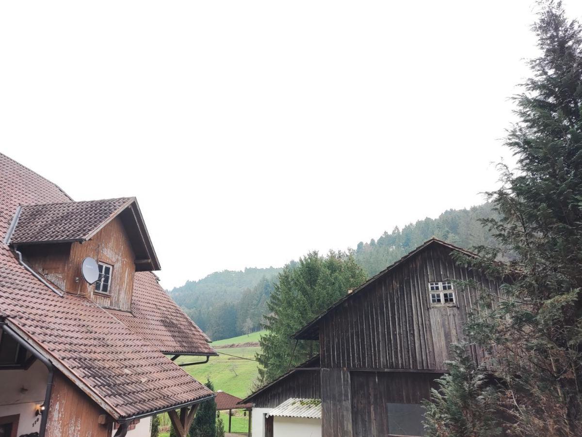Geraeumige Wohnung Im Schwarzwald ซีลบาค ภายนอก รูปภาพ