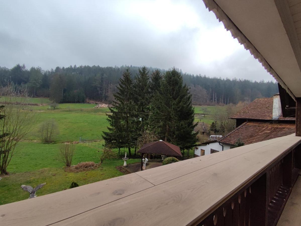 Geraeumige Wohnung Im Schwarzwald ซีลบาค ภายนอก รูปภาพ