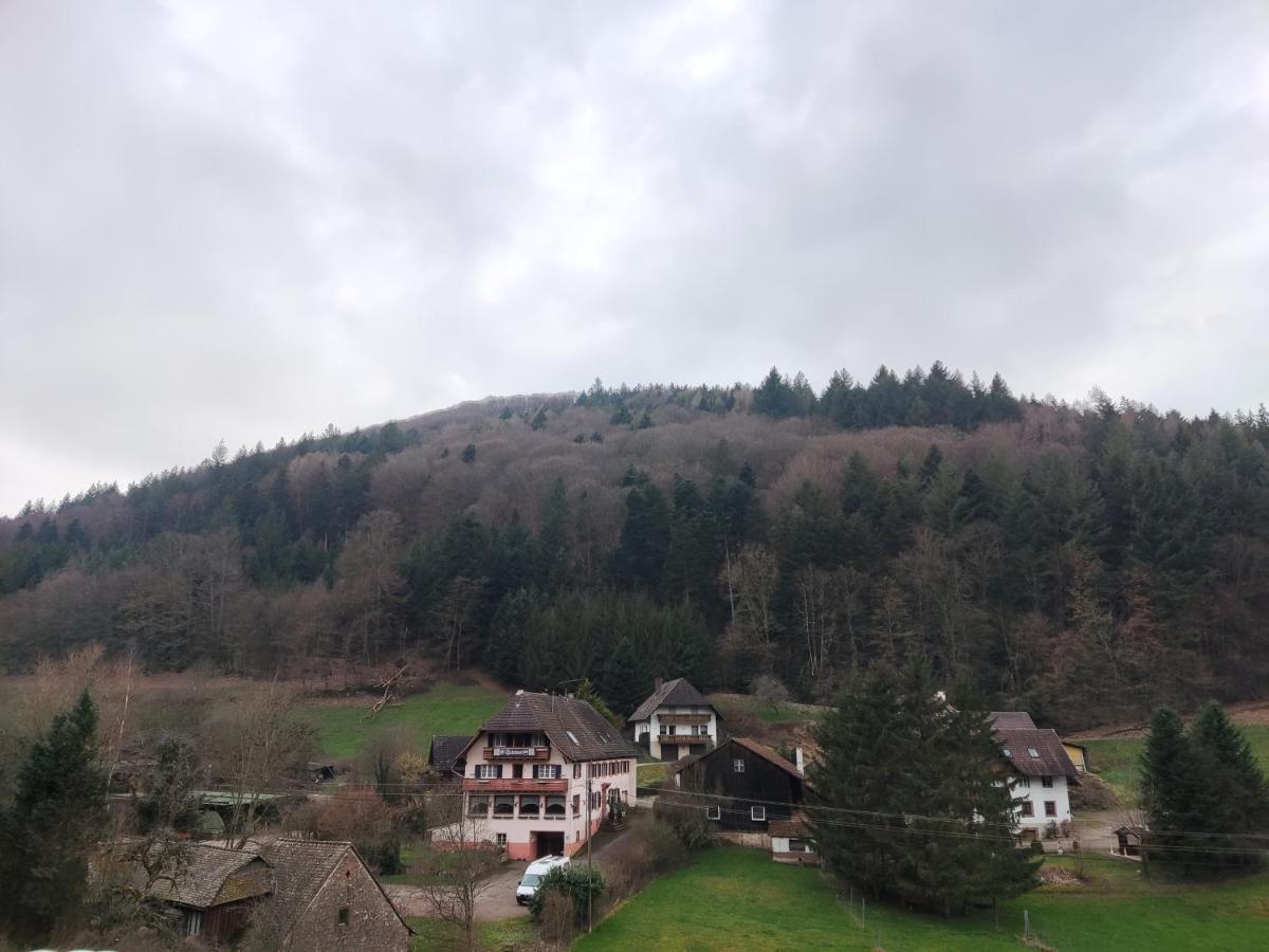Geraeumige Wohnung Im Schwarzwald ซีลบาค ภายนอก รูปภาพ